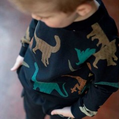 Sudadera niño antracita dinosaurios de Sturdy